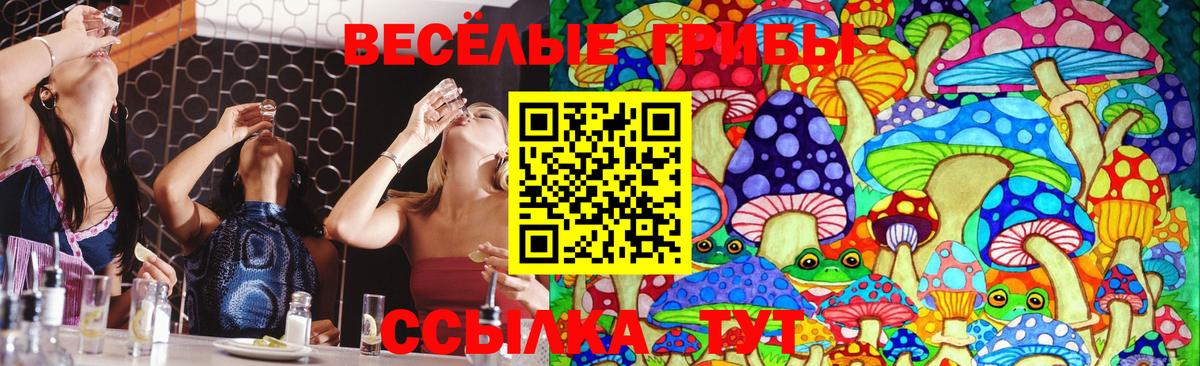 Галлюциногенные грибы Cubensis Карталы